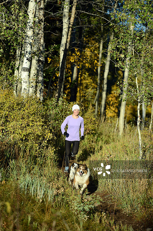 女人和两只狗一起跑步图片素材