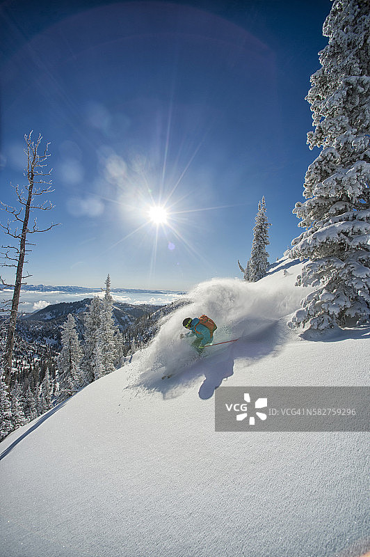 犹他州阿尔塔的粉雪滑雪图片素材