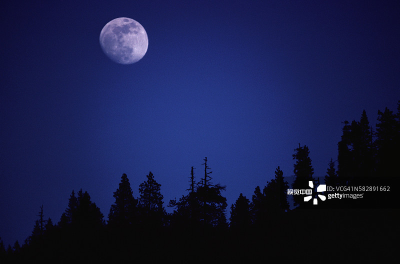 山坡森林上空的月亮图片素材