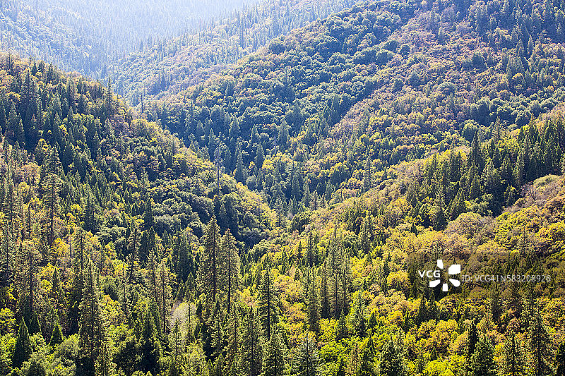 美国加州河畔秋色图片素材