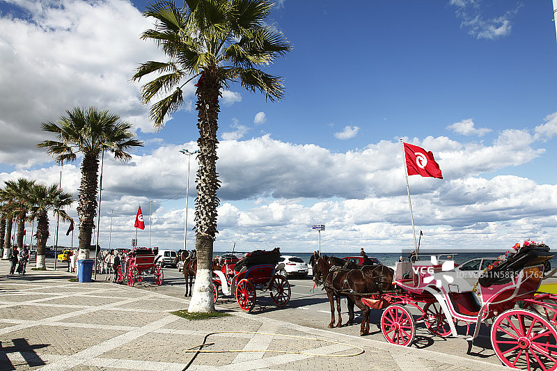 非洲突尼斯：哈马马特海湾苏塞海滨大道马车图片素材