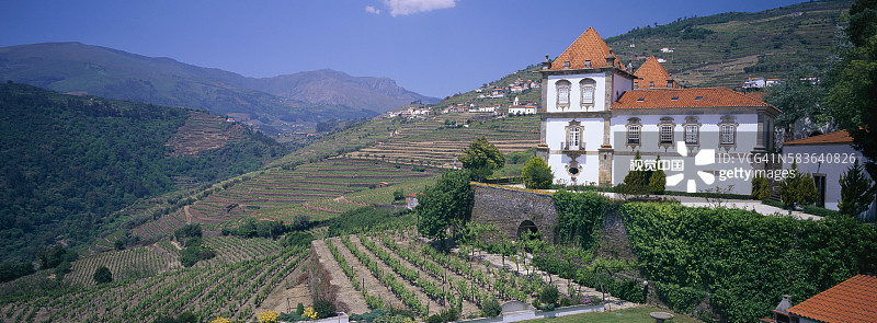 奥利维拉双塔住宅与葡萄园图片素材