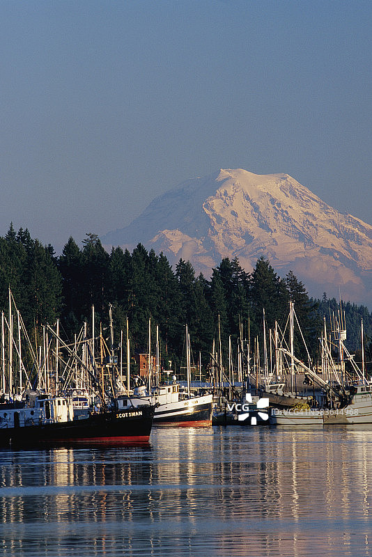 吉格港和雷尼尔山图片素材