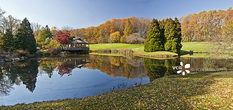 池塘中的秋季倒影图片素材