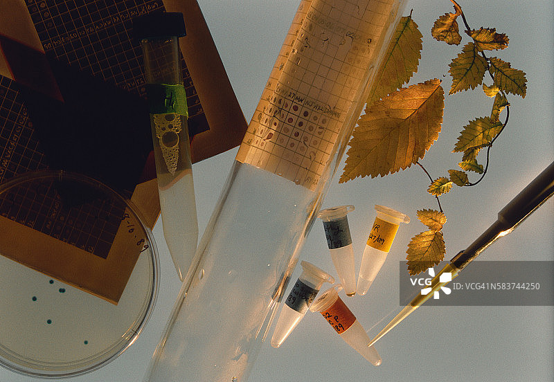 疾病检测工具图片素材