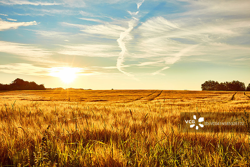 夏天的风景图片素材