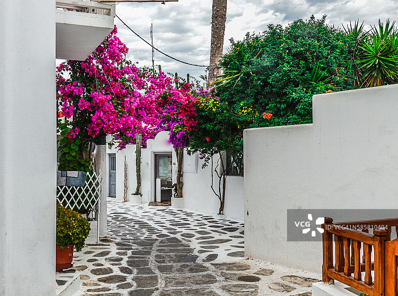 米科诺斯岛的白色建筑和彩色植物的狭窄街道图片素材
