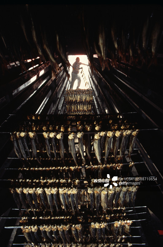 烟熏房里的鲱鱼腌制图片素材