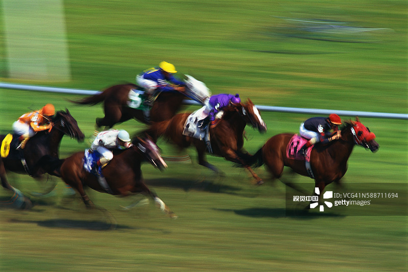 特拉华公园的纯种赛马比赛图片素材