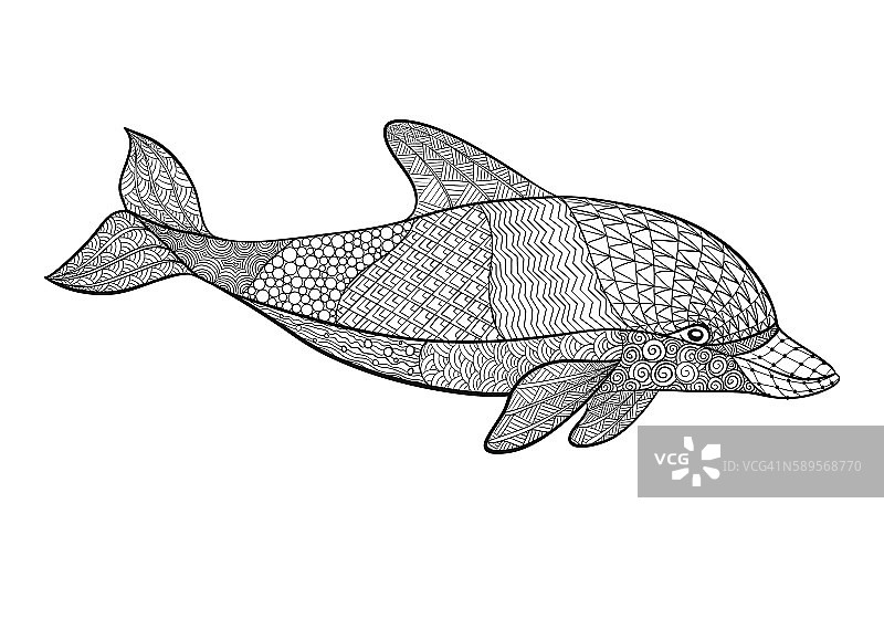 带装饰元素的黑白海豚手绘图案图片素材