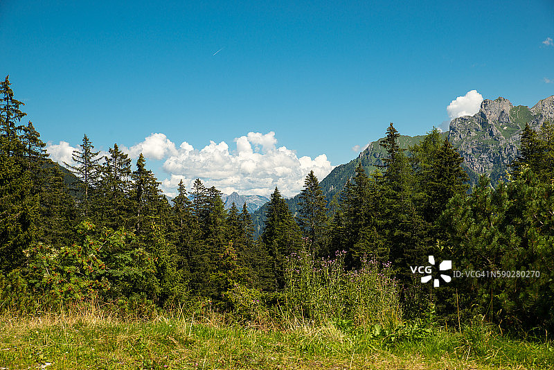 Brandnertal图片素材