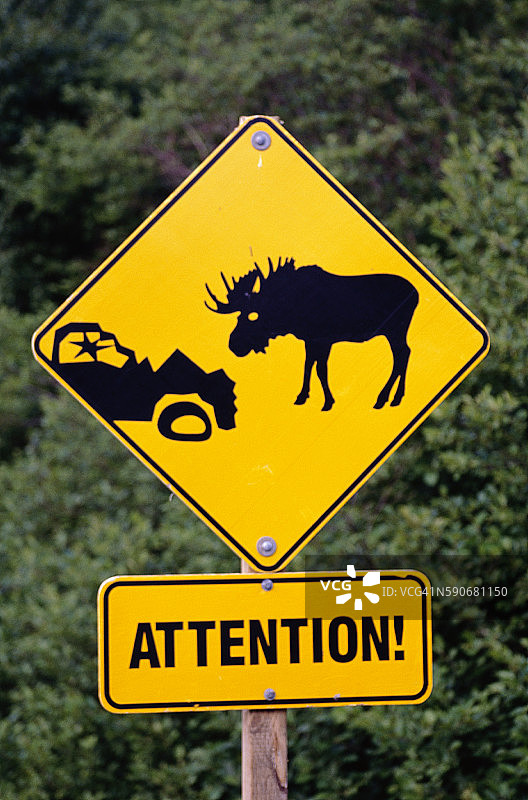 驼鹿出没标志图片素材