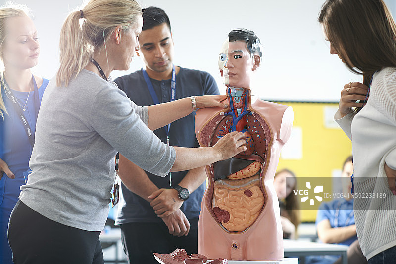 讲师在人体解剖课上与大学生交谈图片素材