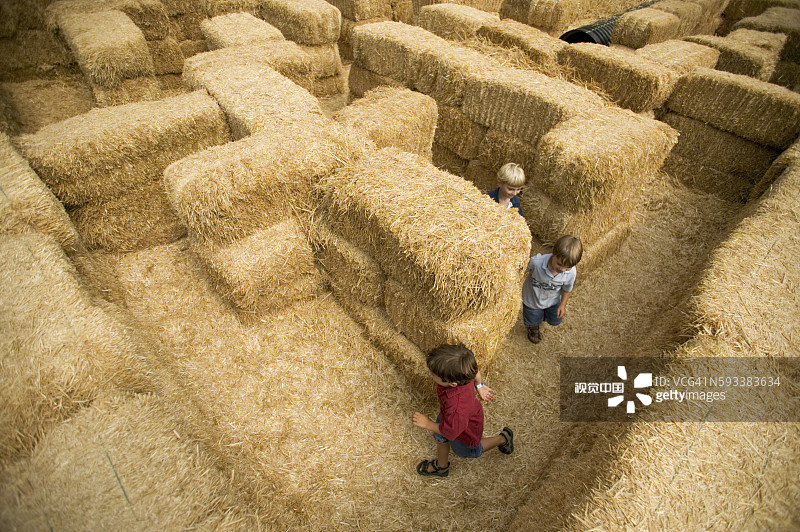 在干草迷宫里的男孩图片素材