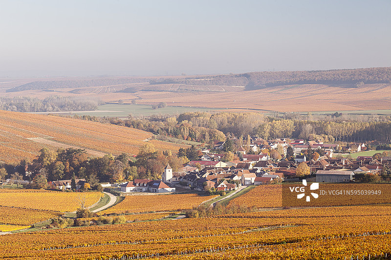法国夏布利葡萄园的秋天图片素材