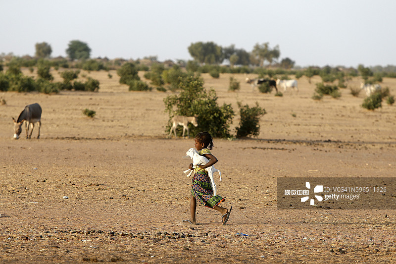 富拉尼族女孩和牛图片素材