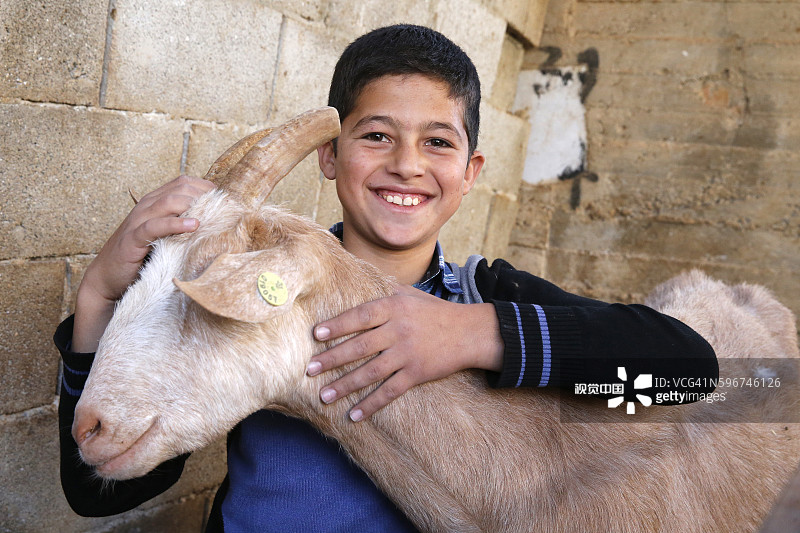 ACAD小额信贷提供6000NIS贷款的绵羊养殖场：客户的儿子苏莱曼·扎雷尔图片素材