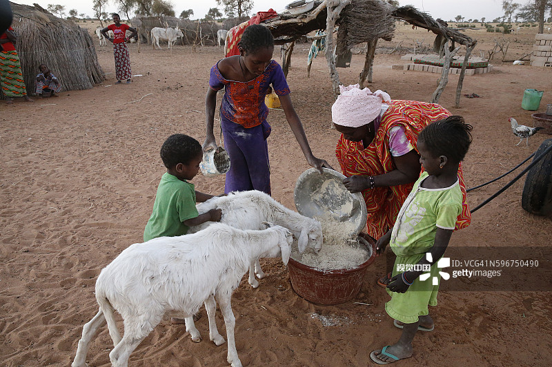 塞内加尔北部富拉尼族村庄图片素材
