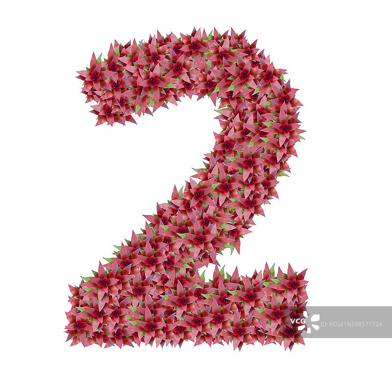 由凤梨科植物花朵制成的数字2图片素材
