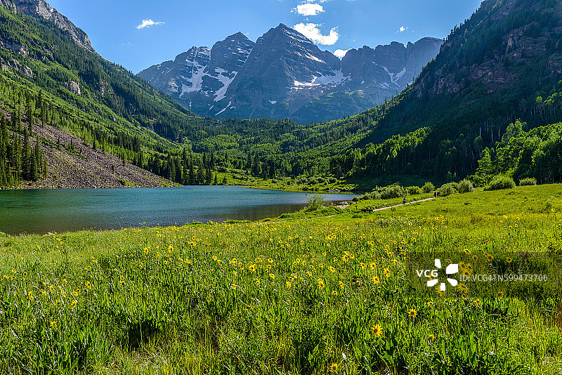 栗色溪谷的春天图片素材