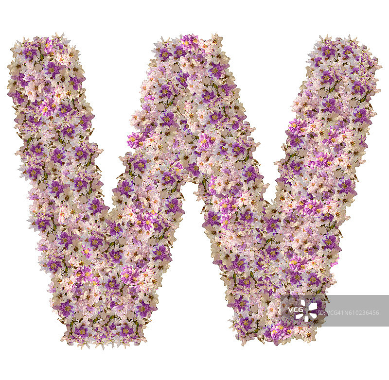 字母W花卉ABC概念Logo图片素材