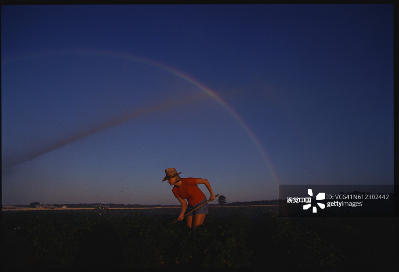 年轻女子给马铃薯植物锄草图片素材