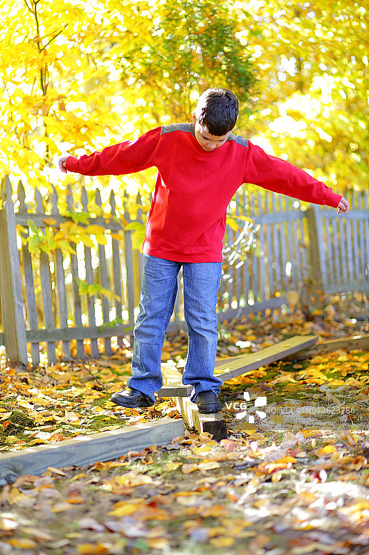 后院平衡木上的稳健身影图片素材
