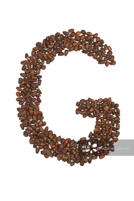 雪松坚果制成的G字母图片素材