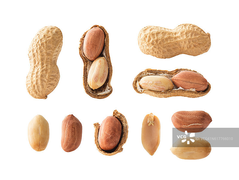 花生合集图片素材
