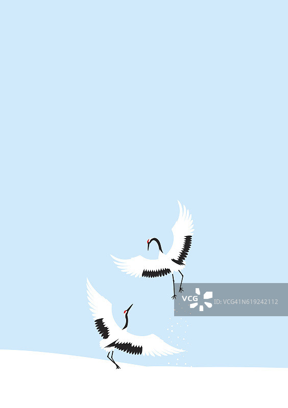 冬季仙鹤飞舞的日本景观图片素材