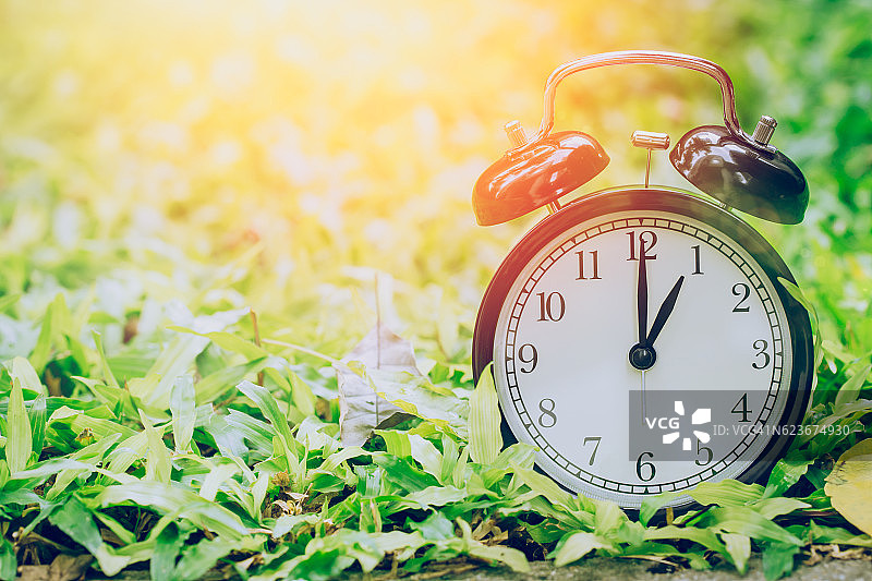 花园草地上的复古时钟指向1点图片素材