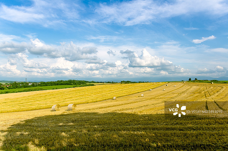 纯色黄色麦秸图片素材