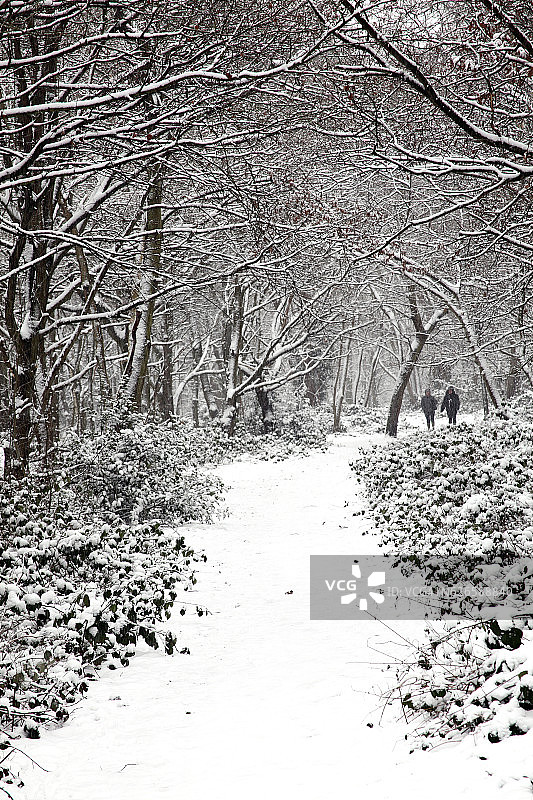 Wandsworth Common的雪景图片素材