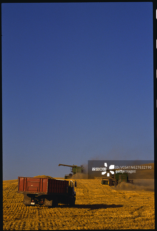 收割大麦图片素材