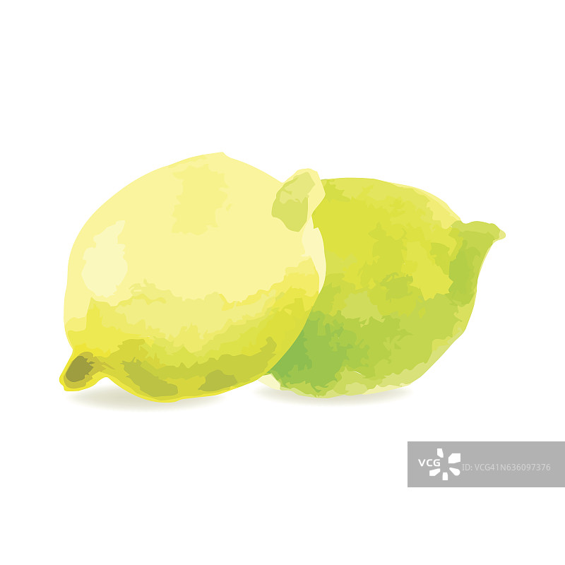 白色背景上的柠檬果实图片素材