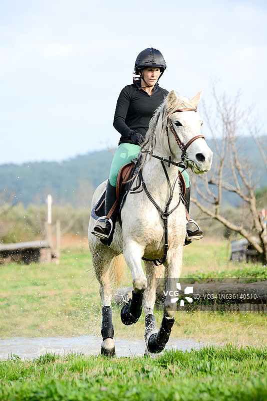 年轻女人骑马训练跳跃比赛户外图片素材