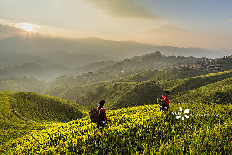 龙脊梯田图片素材