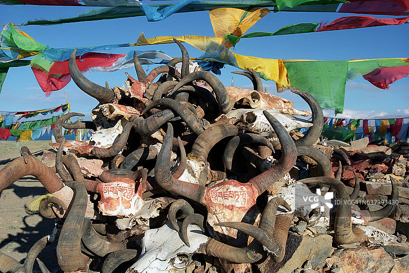 藏族聚居区的祈祷旗和牦牛角图片素材