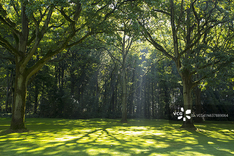 德尔维尔伍德，索姆河战役期间激战的场景，朗格瓦尔，法国图片素材