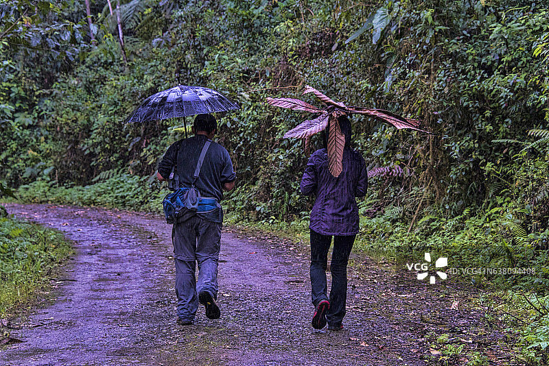 撑着普通雨伞和树叶伞的徒步者图片素材