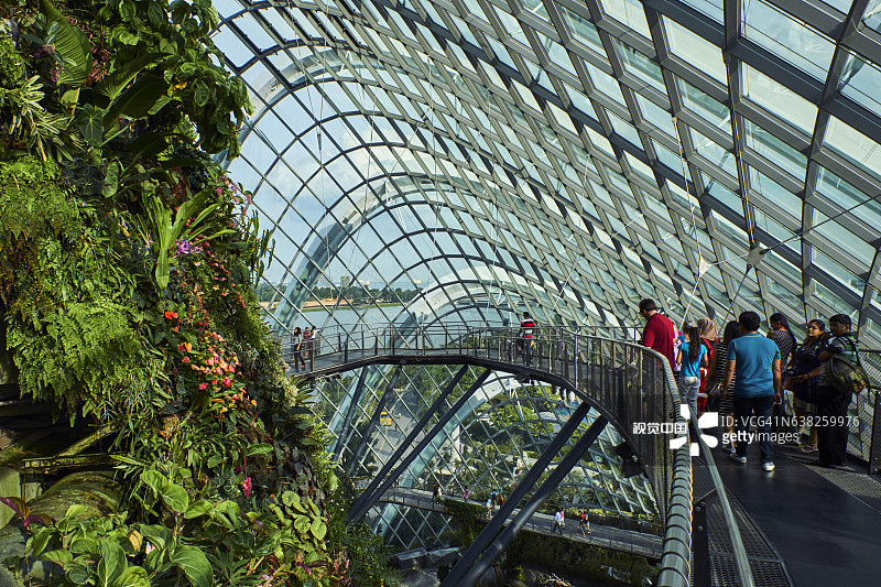 新加坡滨海湾花园云雾林图片素材