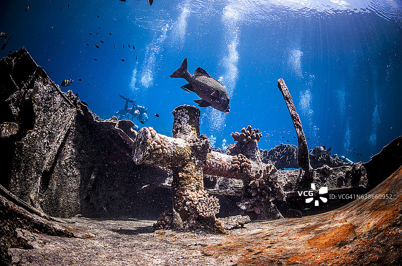 菲律宾、东南亚、西太平洋的海底世界。图片素材