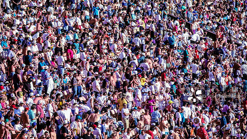 体育场人群图片素材