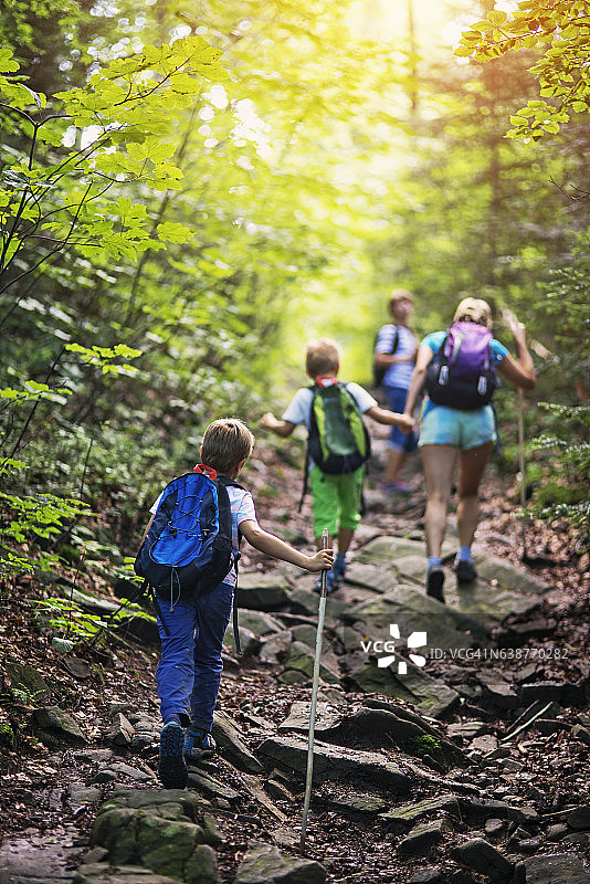 在阳光明媚的森林里徒步的家庭图片素材