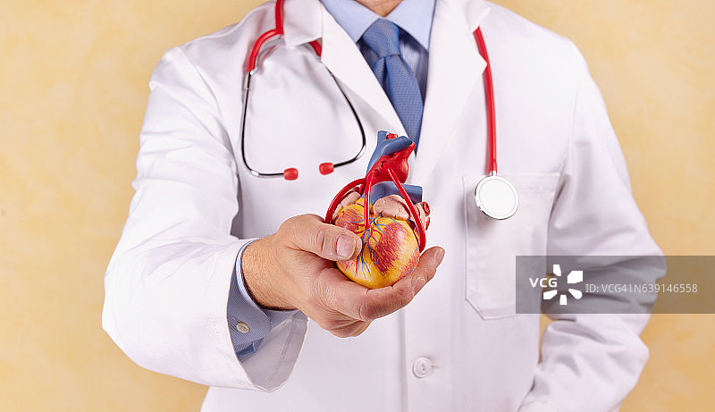 带心脏模型的心电图仪图片素材