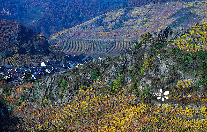 梅绍斯附近的葡萄园图片素材