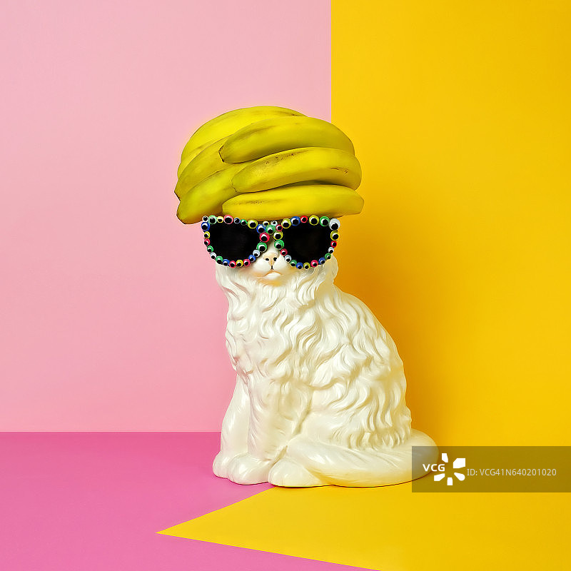 戴太阳镜和香蕉假发/帽子的猫图片素材