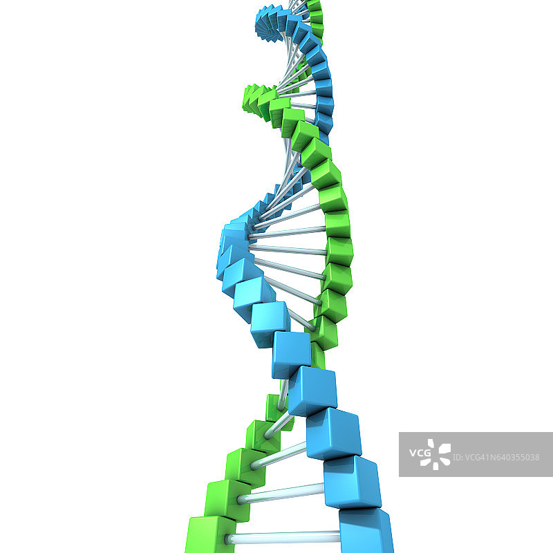 DNA结构白色背景图片素材