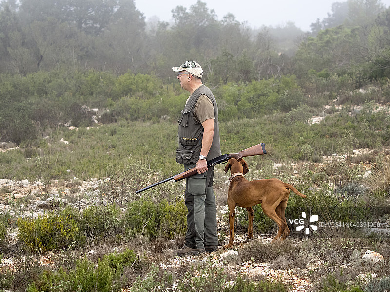 猎人携带猎枪和猎犬在山中猎鹧鸪和兔子图片素材