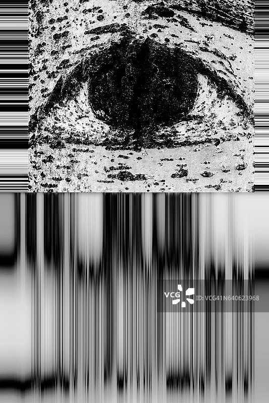 带有条形码设计的眼睛图片素材